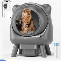 Litière Magique Auto - nettoyante - La boutique du Maine Coon