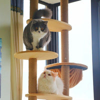 Poteaux pour arbre à chat en bois massif. - La boutique du Maine Coon