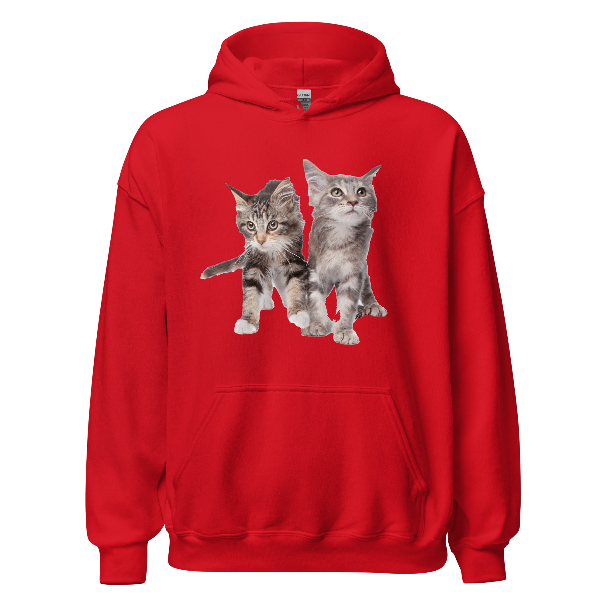 Sweat à capuche Bébés Maine Coon Exclusif - La boutique du Maine Coon