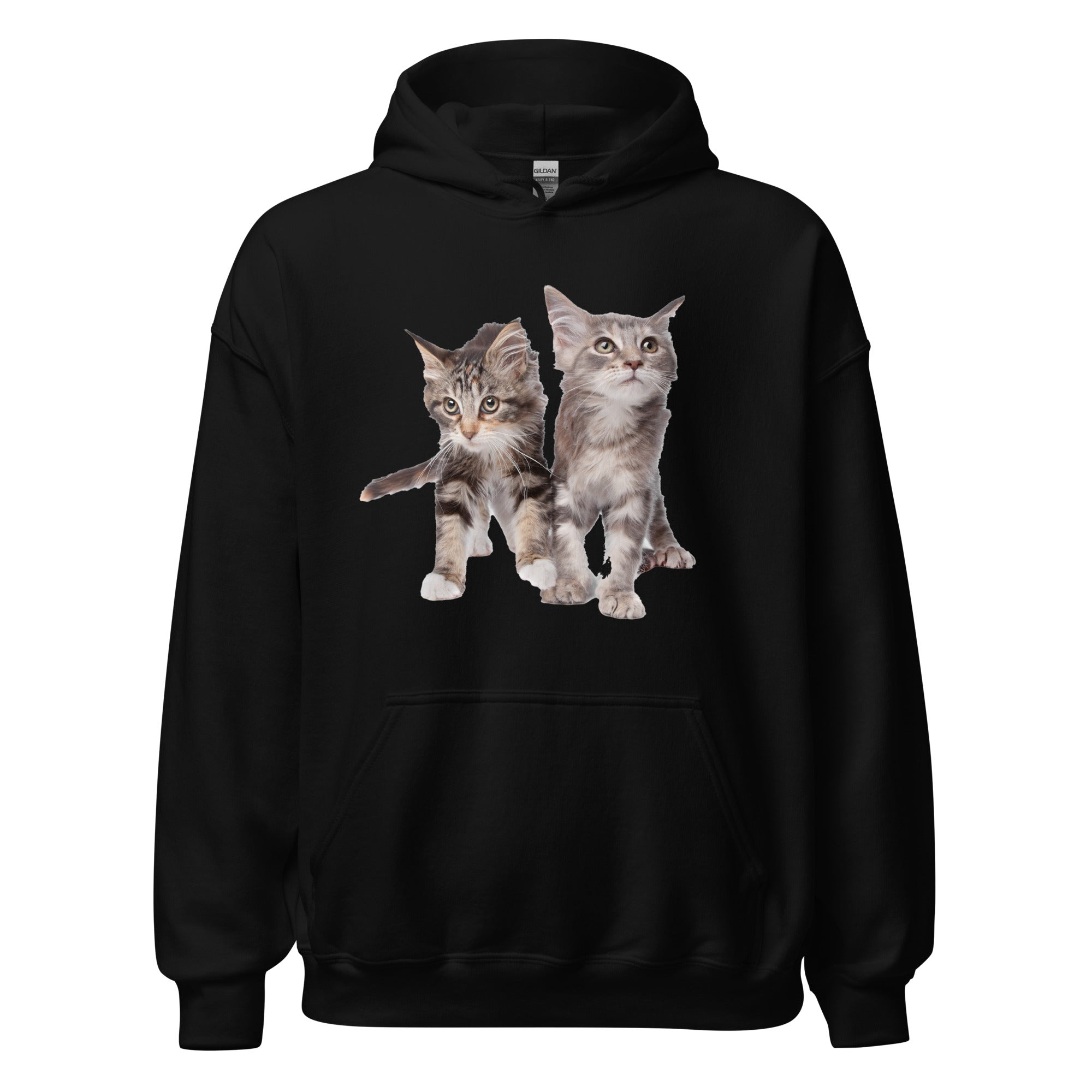 Sweat à capuche Bébés Maine Coon Exclusif - La boutique du Maine Coon