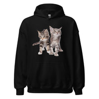 Sweat à capuche Bébés Maine Coon Exclusif - La boutique du Maine Coon