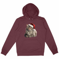 Sweat Maine Coon de noël - La boutique du Maine Coon