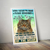 Affiche Maine Coon amour