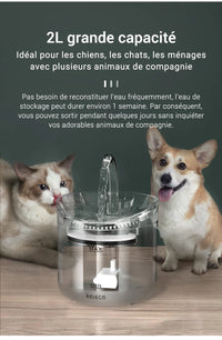 Fontaine pour chat 2 litres - Fontaine