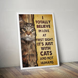 Affiche Maine Coon Not Humans