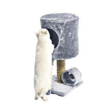 Arbre à chats petit 57 cm - Arbre à chats | La boutique du Maine Coon