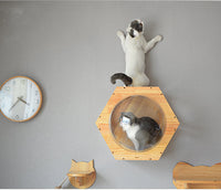 Capsule en bois à fixer au mur pour chats - Arbre à chats
