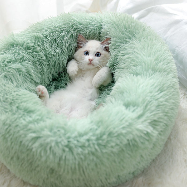 Couchage moelleux pour chat - couchage
