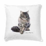 Coussin Maine Coon - Blanc - coussin