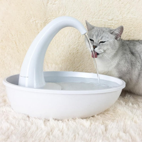 Fontaine à eau pour chat - Fontaine