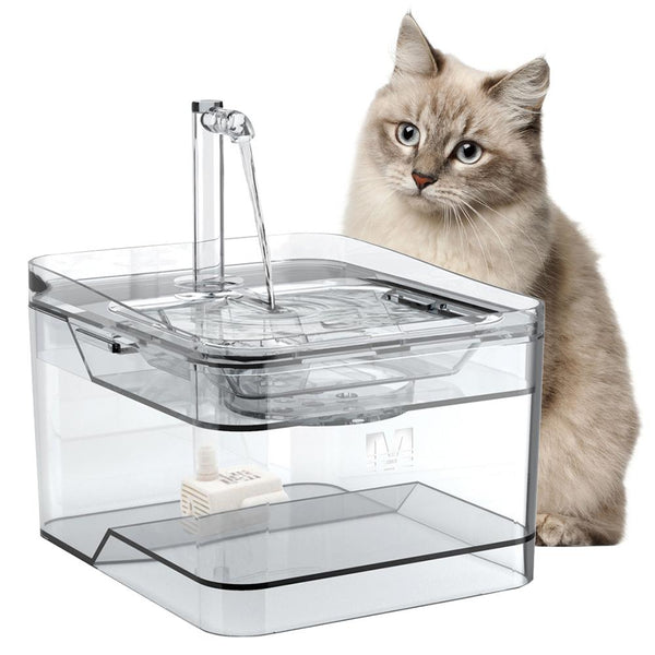 Fontaine pour chat transparente - Fontaine