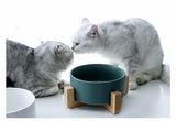 Gamelle design en céramique de 850 ml pour chat - Gamelles