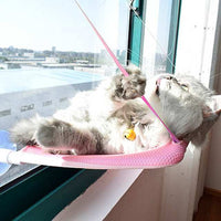 Hamac litière de chat avec ventouse pour fenêtre