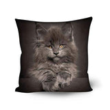 Housse de Coussin Maine Coon 45x45 cm - Coussins | La boutique du Maine Coon