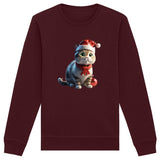 Sweat Chat Noel - La boutique du Maine Coon