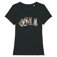 T-shirt 4 chatons Maine Coon - Noir / XS - T-shirt
