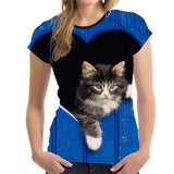 T-shirt chat dans un coeur - H1500bv / S - T-shirt