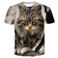 T-shirt chat Maine Coon adulte - M - T-shirt