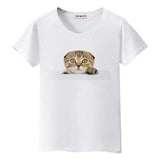 T-shirt chat Scottish Folds - Blanc / S - T-shirt