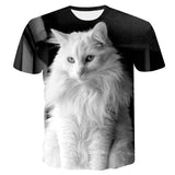 T-shirt Maine Coon blanc charmeur - TXU159 / 6XL - T-shirt