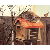 Tableau à peindre chat oiseau - Tableau | La boutique du Maine Coon