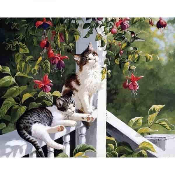 Tableau à peindre chats - Tableau | La boutique du Maine Coon