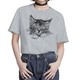 Tee Shirt chat qui dort femme - Gris / S - T-shirt