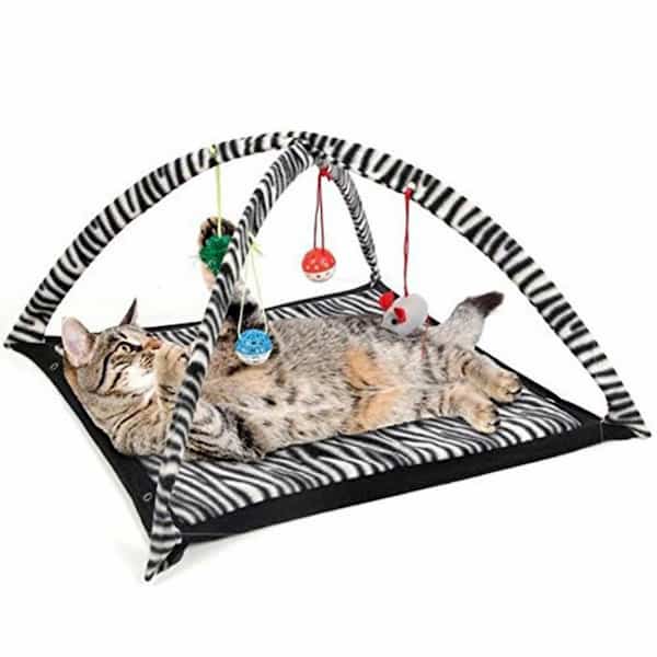 tente pour chat Tente de jeu et repos pour chat – La boutique du Maine Coon